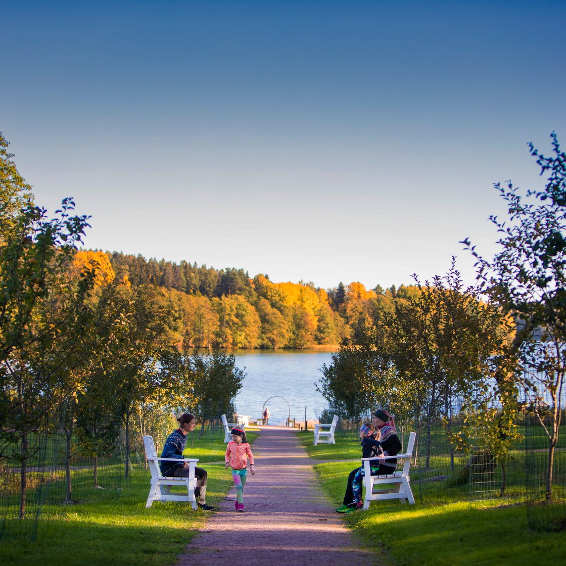 A view from the shore at Wohls Gård. The image shows a sandy path to the waterfront lined with a few white benches. Two benches have people sitting on them, and a child is walking along the sandy path.