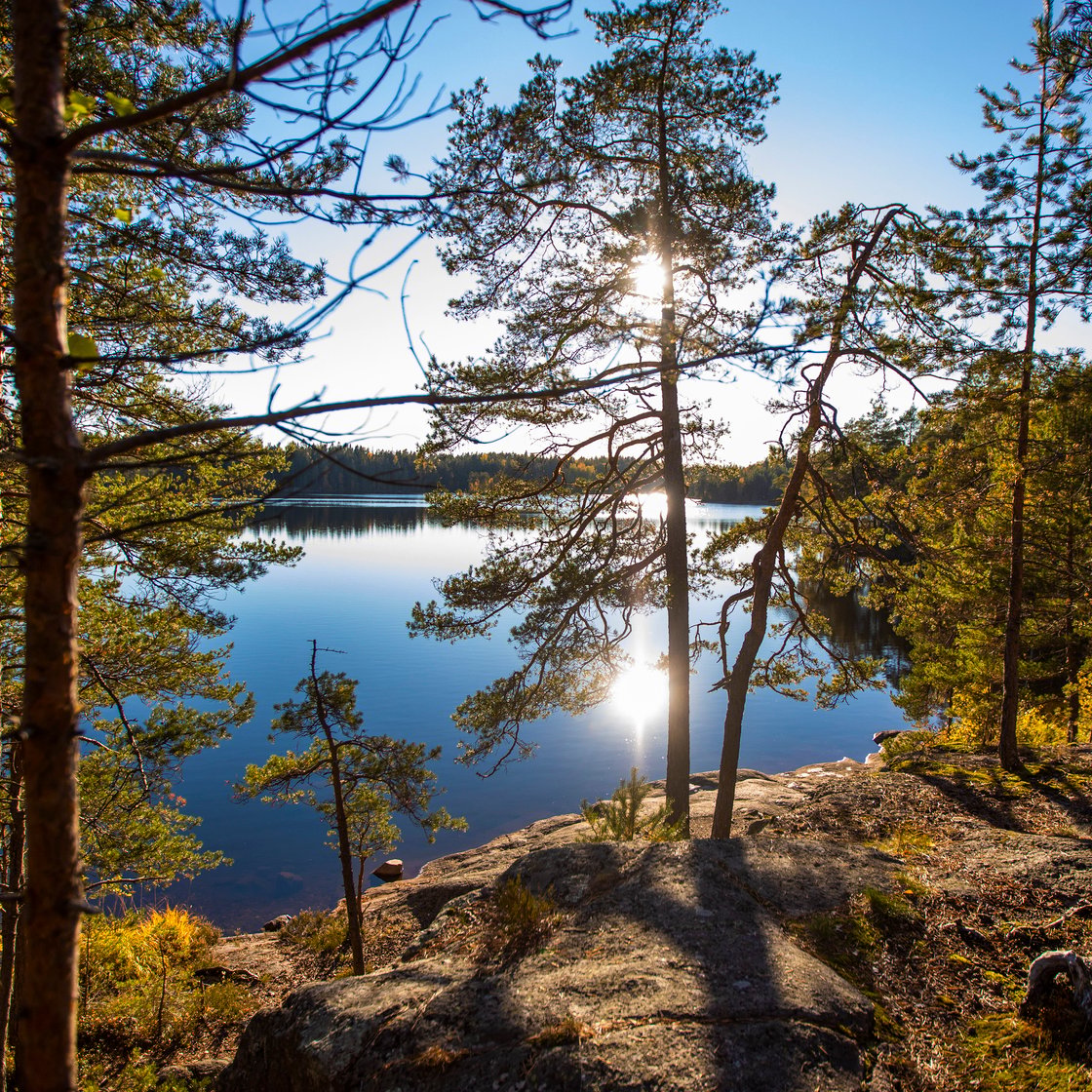 Trees on a rocky outcrop, with a lake in the background.