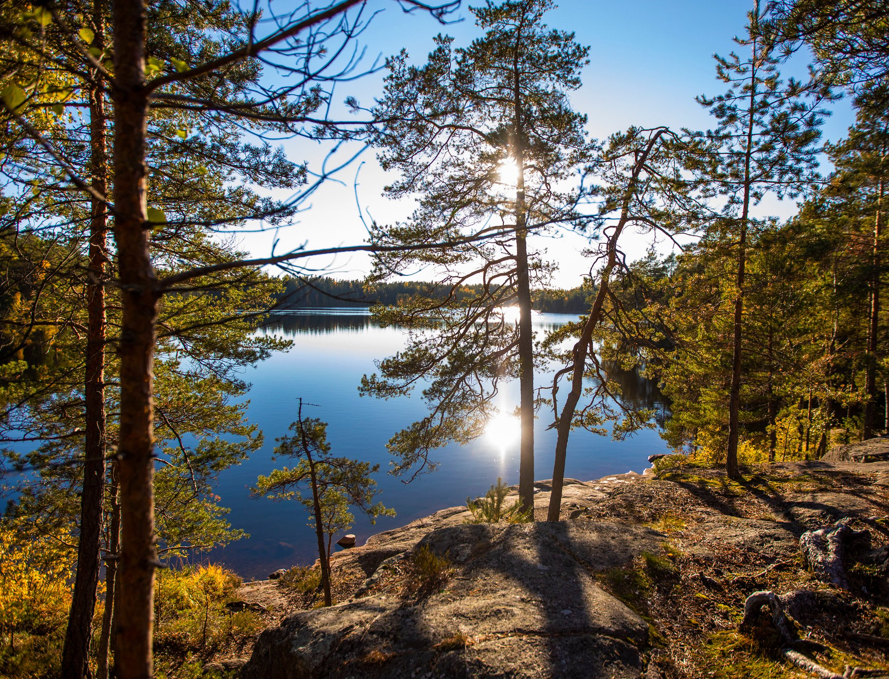Träd på en klippa, med en sjö i bakgrunden.