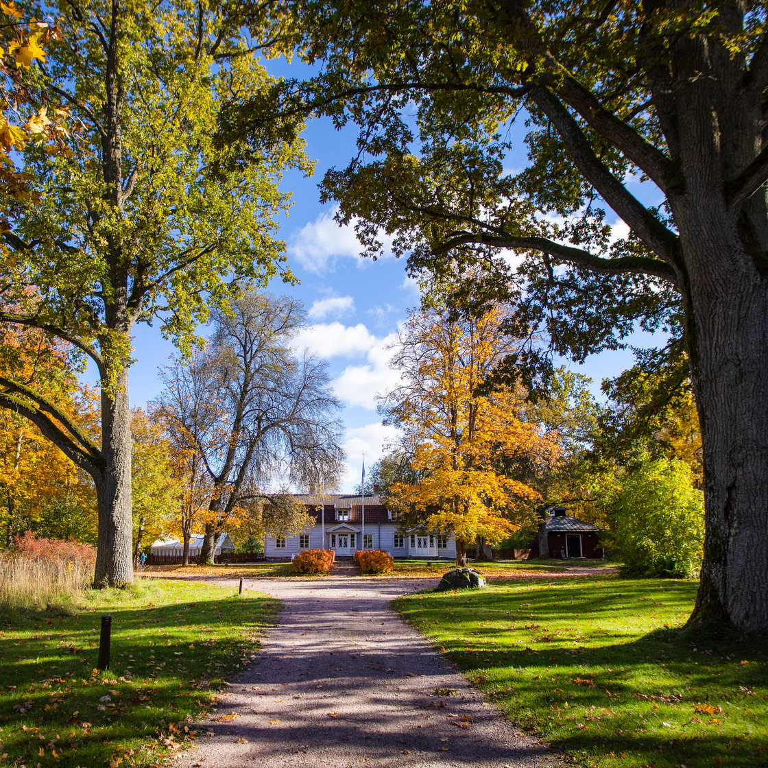 A gravel path leading to a white house.
