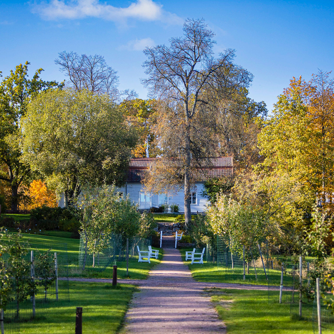 A gravel path leading to a white house.