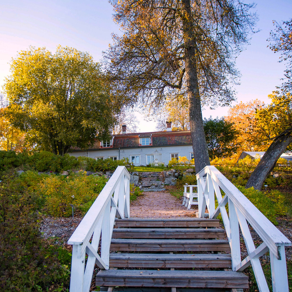 White outdoor steps leading to a path that goes to a house.