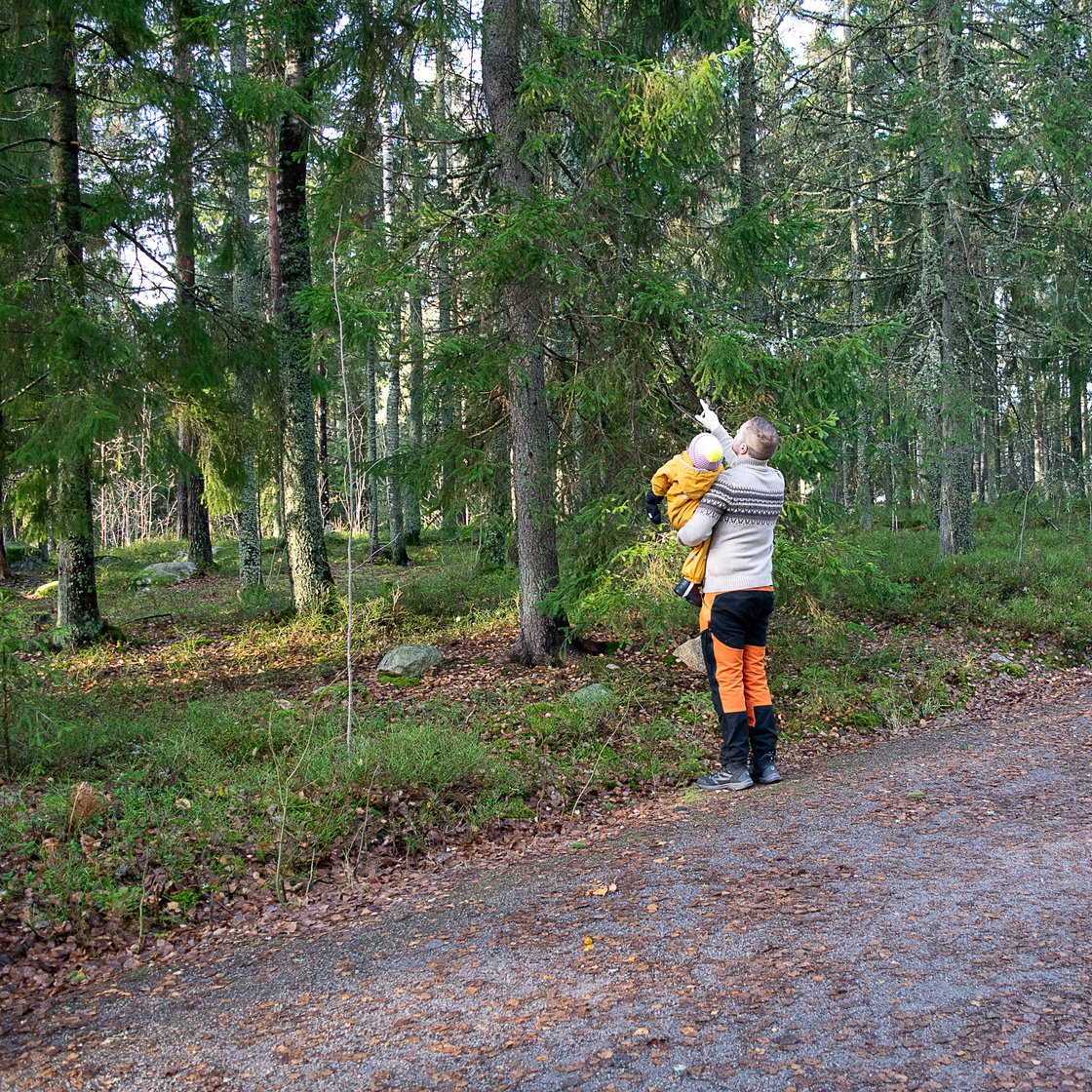 Lauri Lavanti pointing out trees to a child he is holding in his arms.