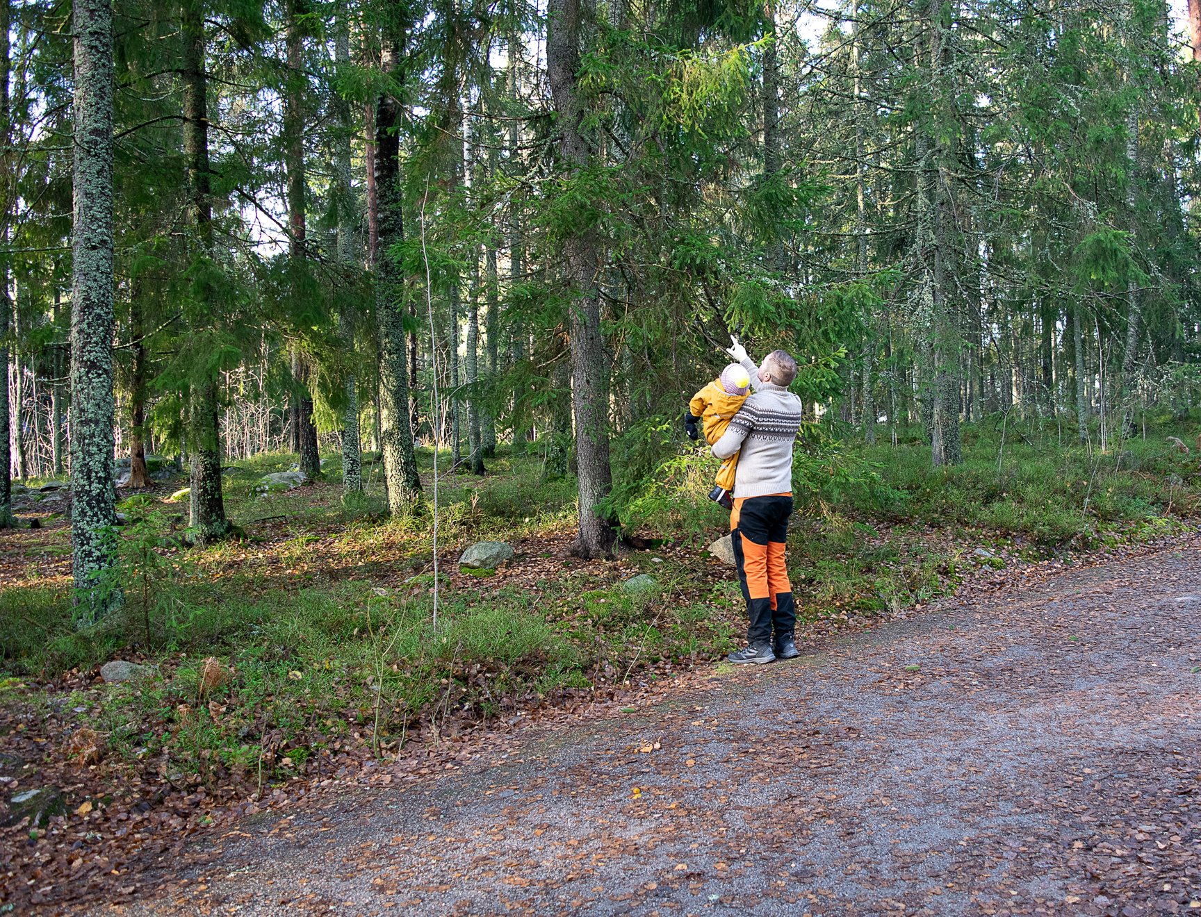 Lauri Lavanti pointing out trees to a child he is holding in his arms.
