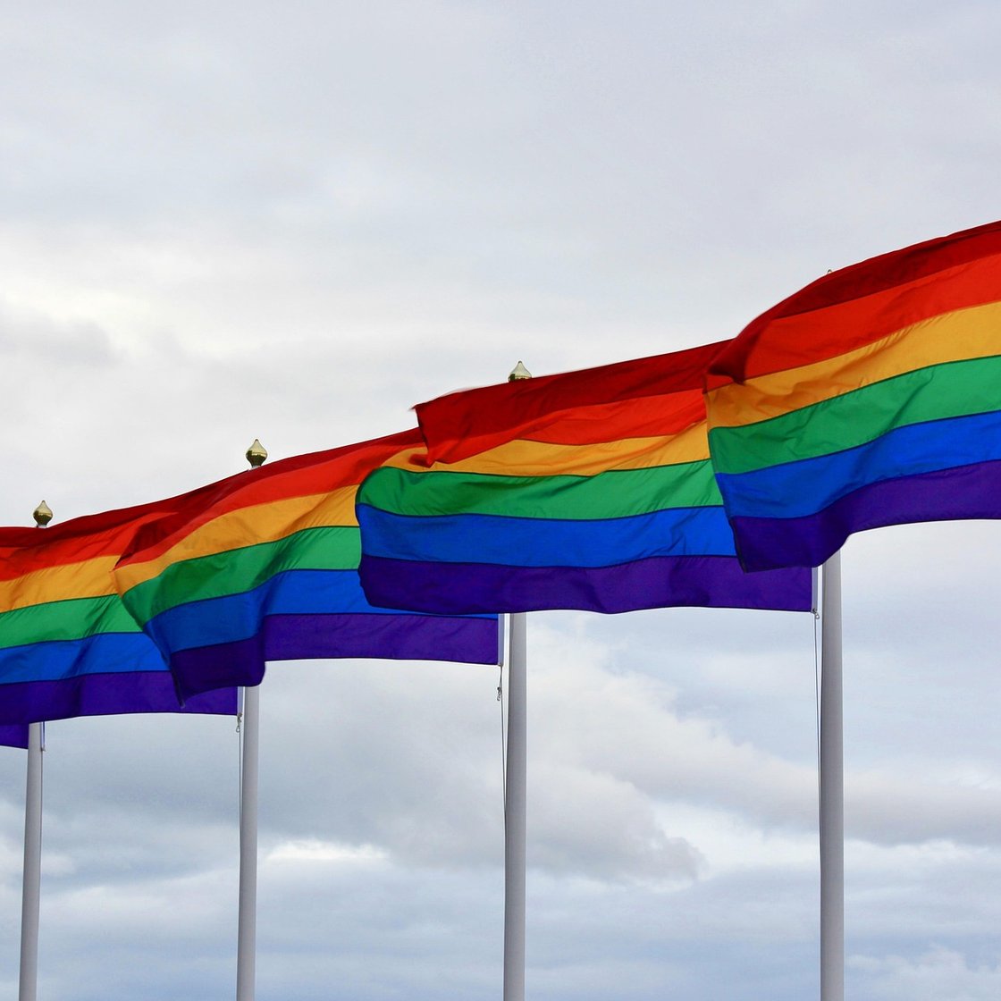 Several flagpoles with rainbow flags flying from them.
