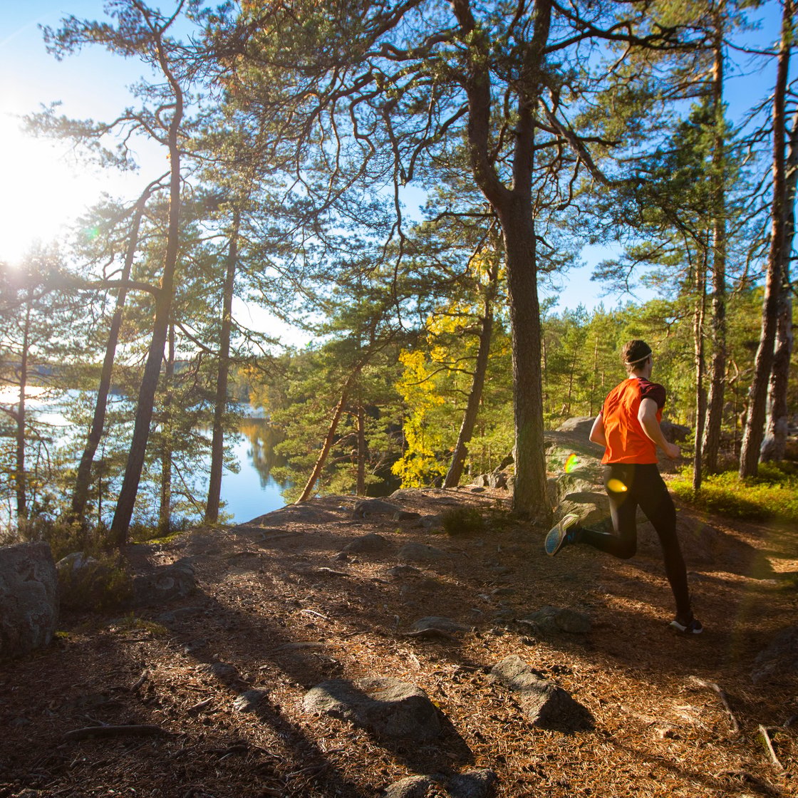 A person running in a forest. A lake and a brightly shining sun are visible in the background.