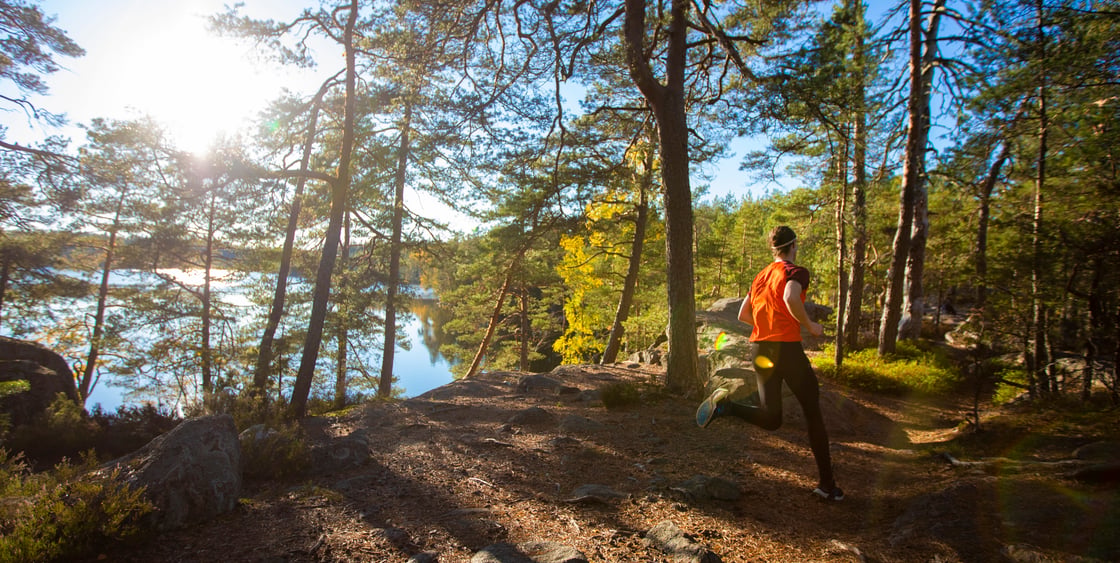 Kuvassa on ihminen juoksemassa metsässä. Taustalla näkyy järvi ja kirkkaana loistava aurinko.