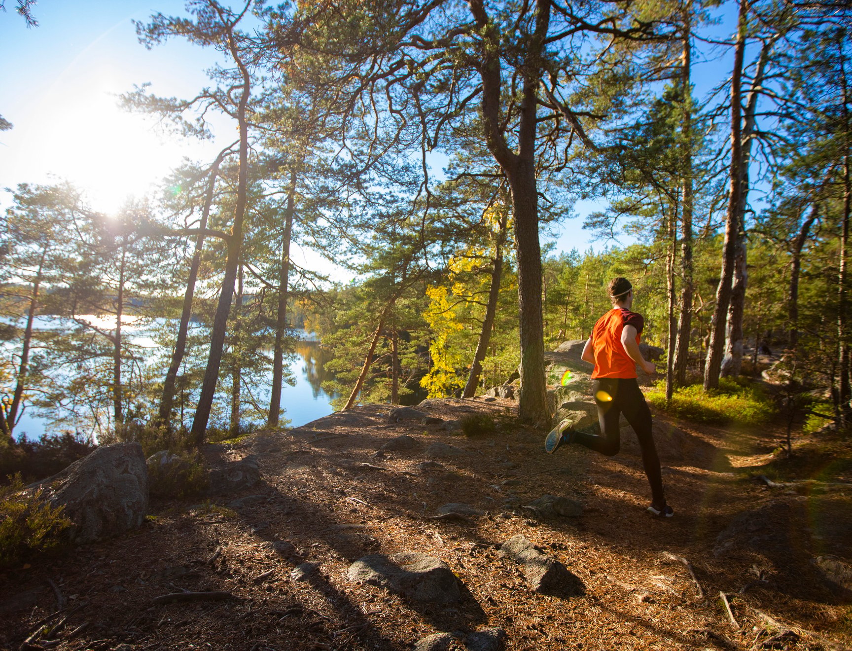 A person running in a forest. A lake and a brightly shining sun are visible in the background.