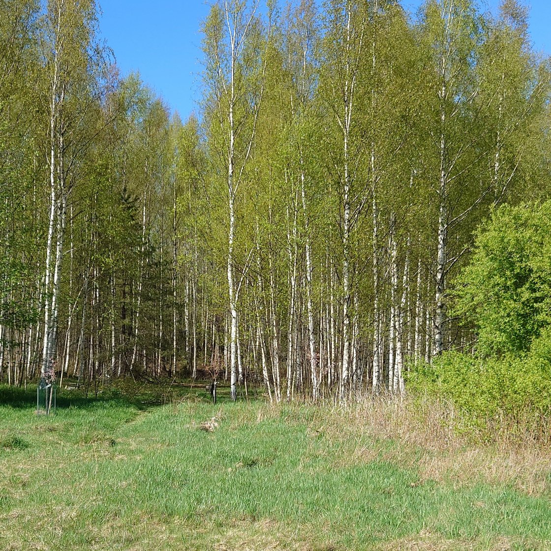 Keijukaispuisto park in Laajakallio, Kirkkonummi