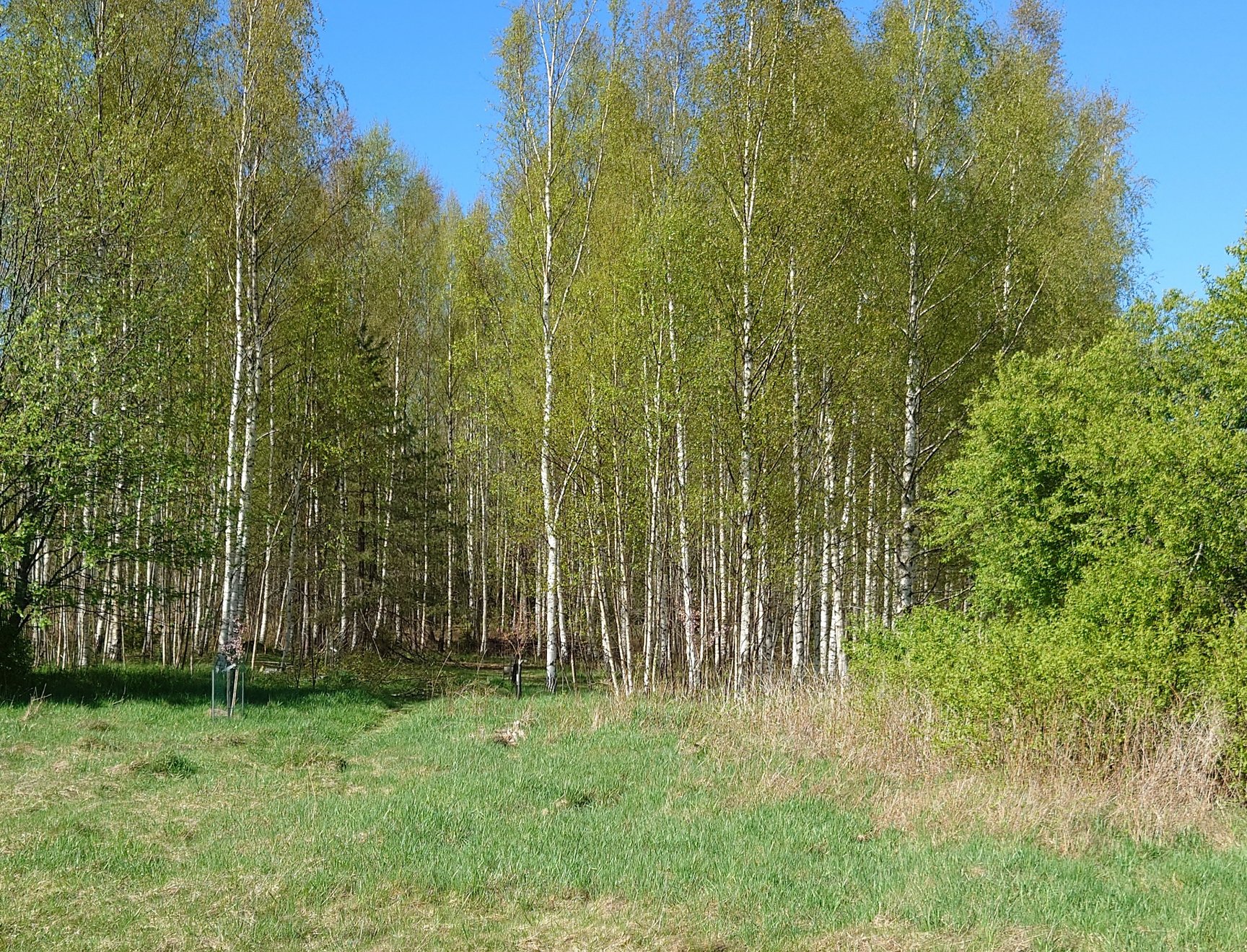 Keijukaispuisto park in Laajakallio, Kirkkonummi
