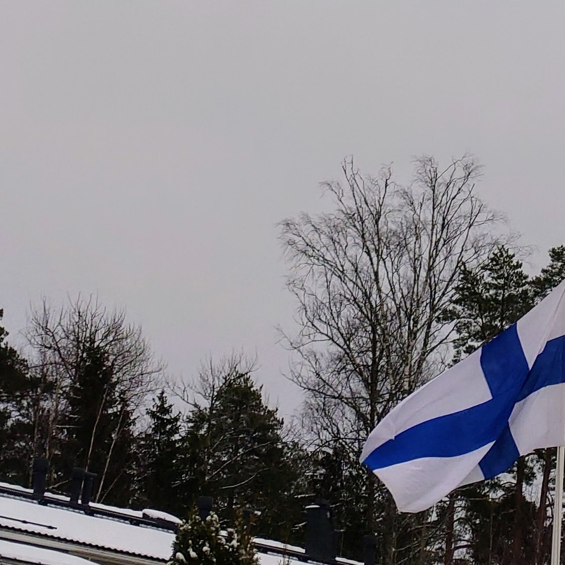 A Finnish flag flying on a flagpole.