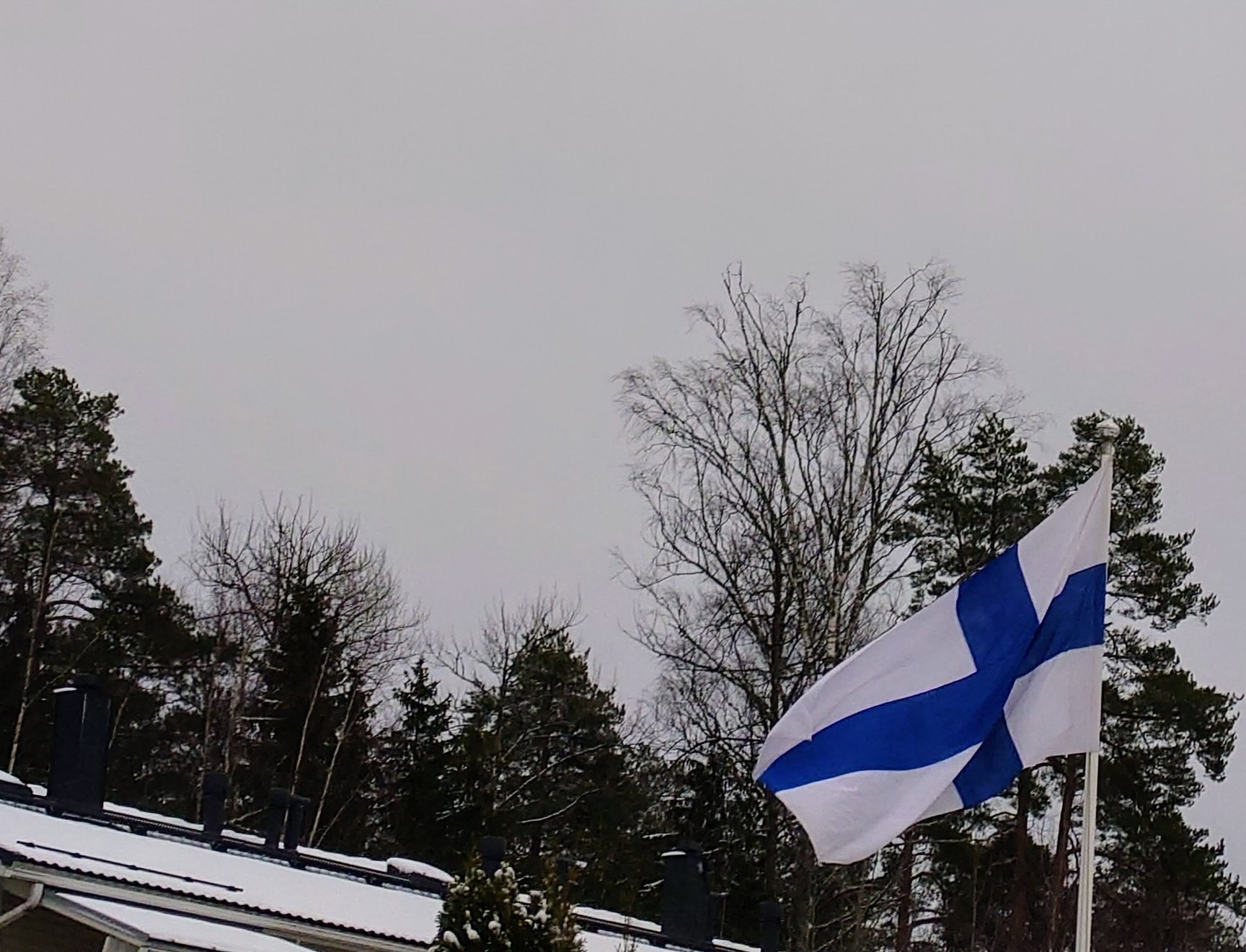 A Finnish flag flying on a flagpole.