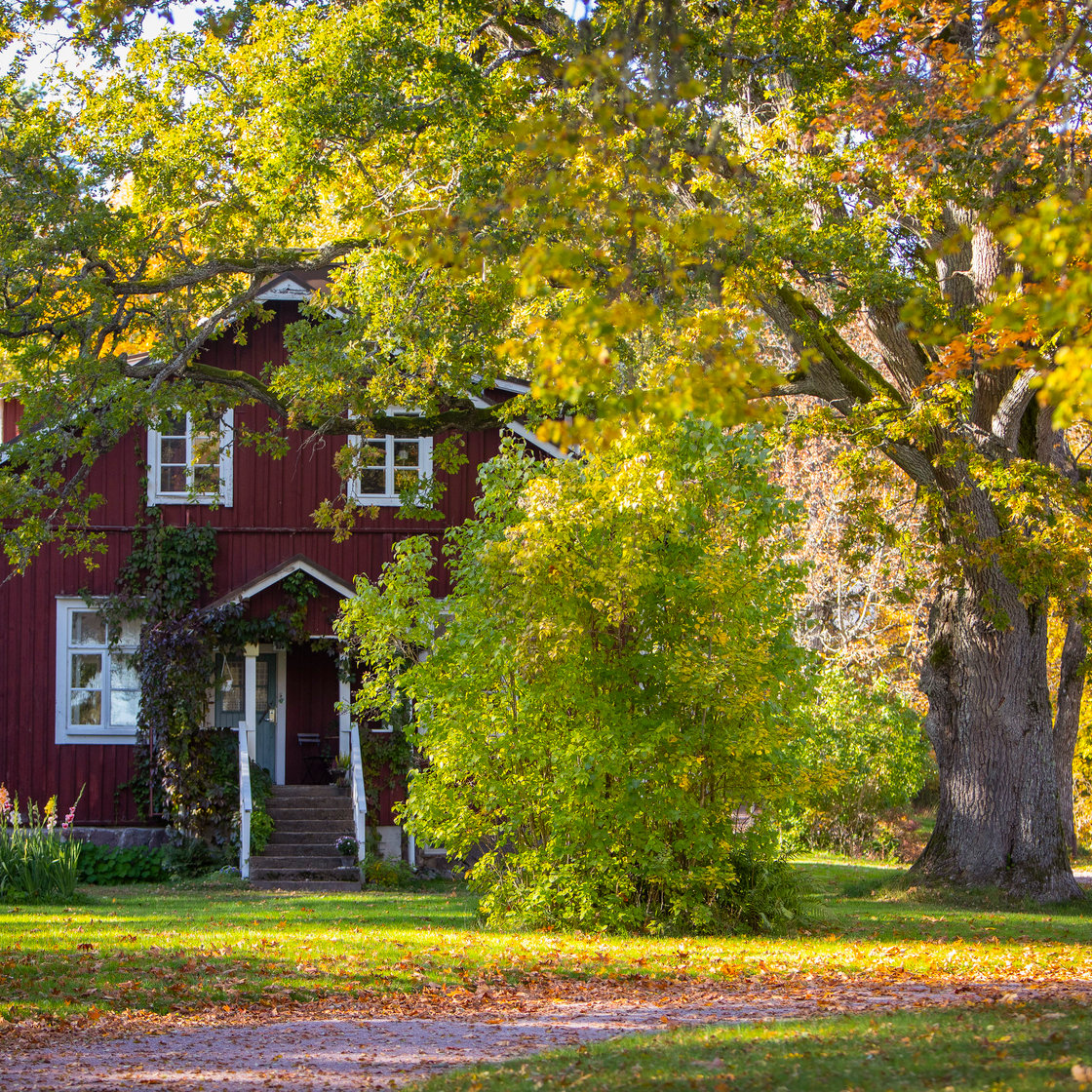 A red house surrounded by trees.