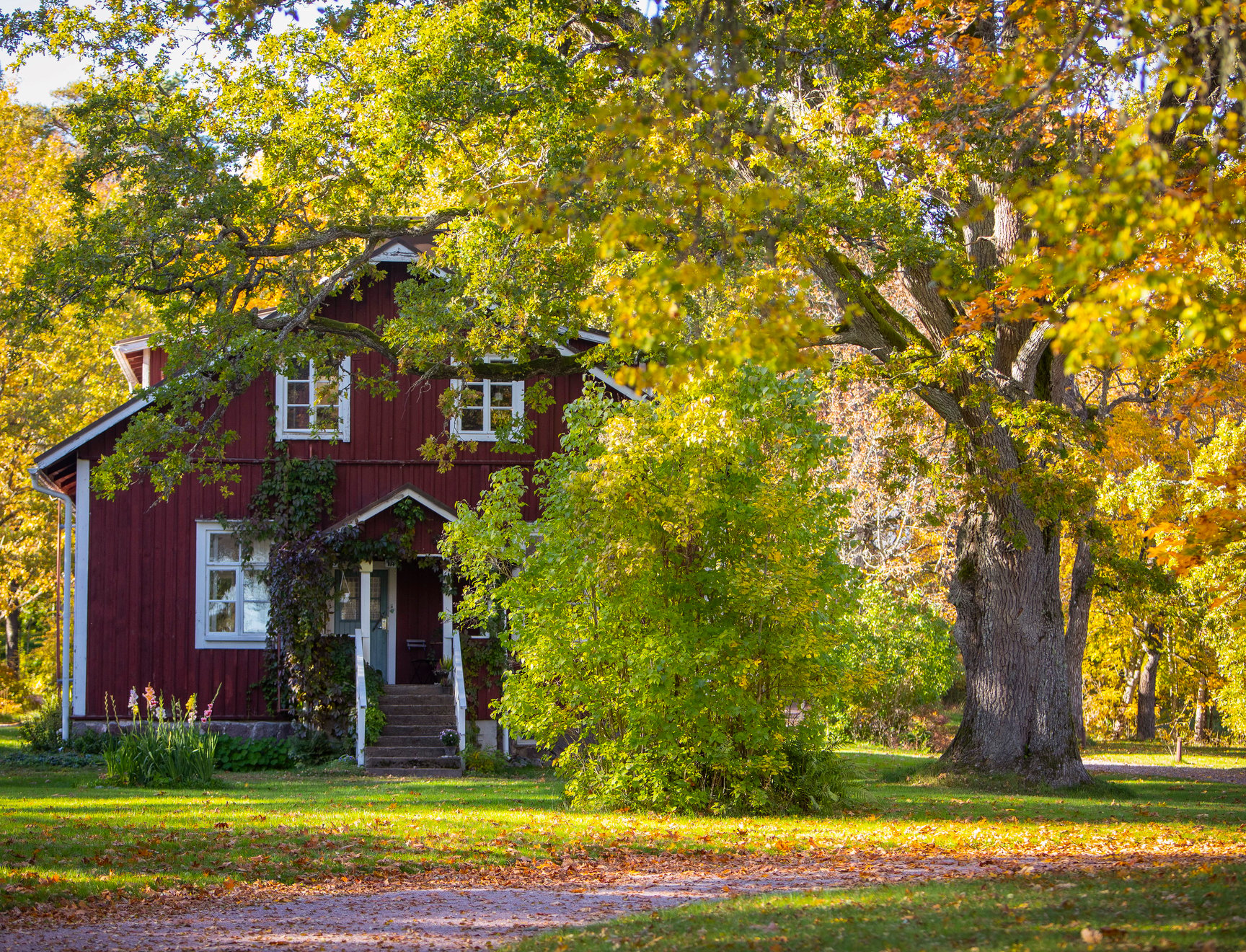 A red house surrounded by trees.